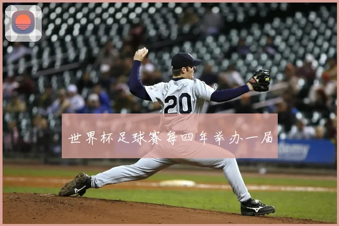 世界杯足球赛每四年举办一届