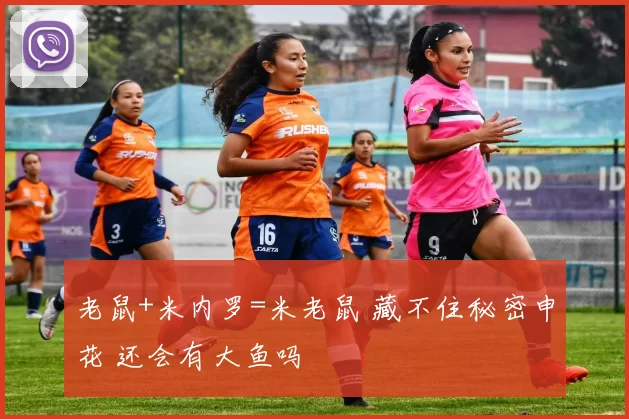 老鼠+米内罗=米老鼠 藏不住秘密申花 还会有大鱼吗