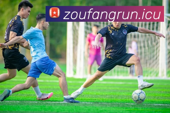 数据防护可视化